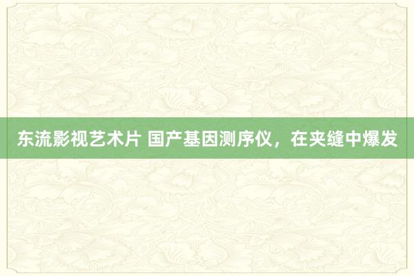 东流影视艺术片 国产基因测序仪，在夹缝中爆发