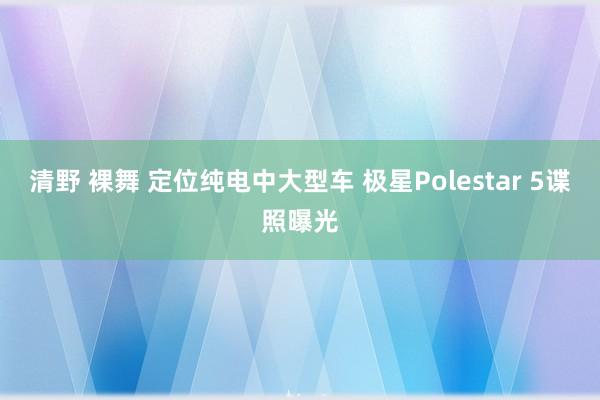 清野 裸舞 定位纯电中大型车 极星Polestar 5谍照曝光