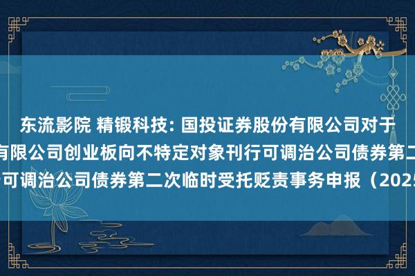 东流影院 精锻科技: 国投证券股份有限公司对于江苏太平洋精锻科技股份有限公司创业板向不特定对象刊行可调治公司债券第二次临时受托贬责事务申报(2025年度)