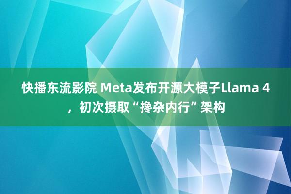快播东流影院 Meta发布开源大模子Llama 4，初次摄取“搀杂内行”架构