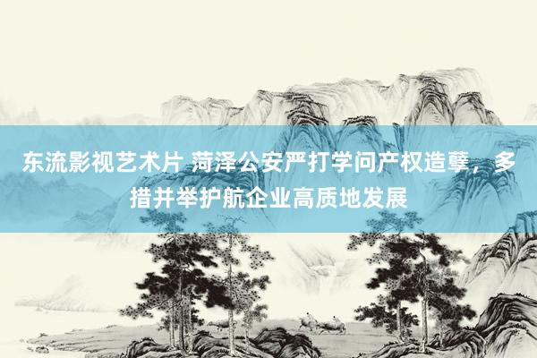 东流影视艺术片 菏泽公安严打学问产权造孽，多措并举护航企业高质地发展
