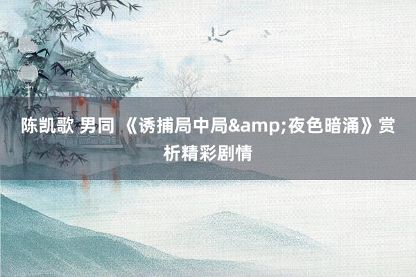 陈凯歌 男同 《诱捕局中局&夜色暗涌》赏析精彩剧情