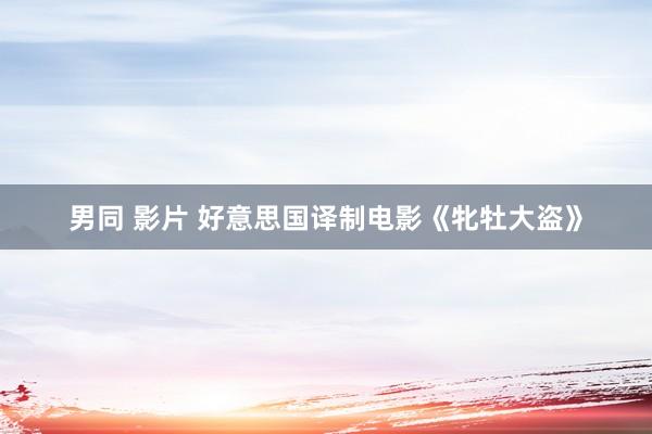 男同 影片 好意思国译制电影《牝牡大盗》